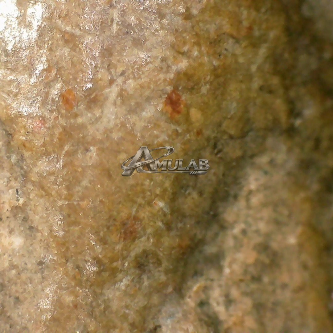 ภาพหลักฐานแล็บ #2